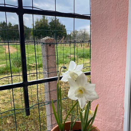 Apartmán Le Bon Coin Périssac Exteriér fotografie